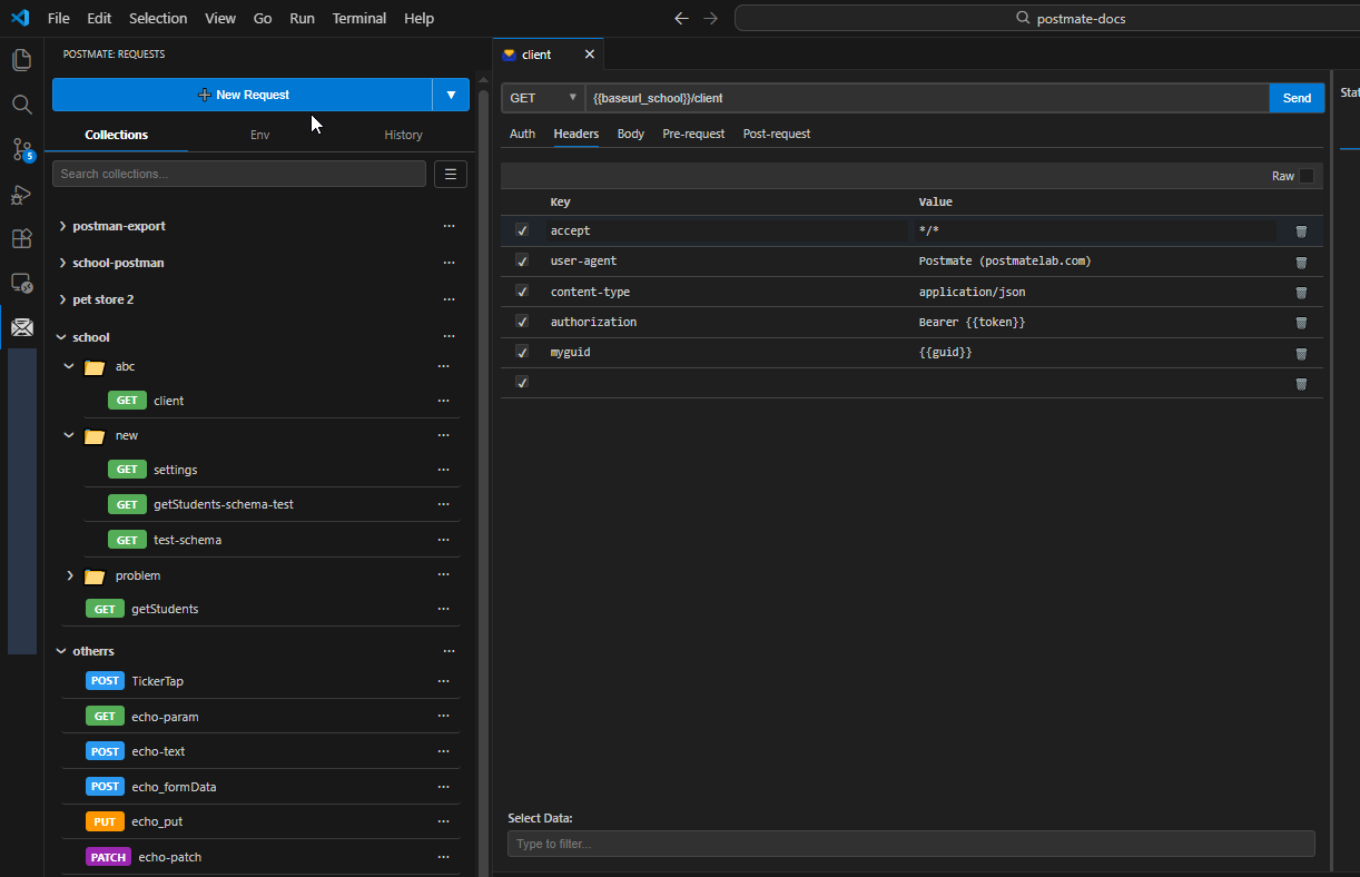 API request headers editor with autocomplete in Postmate Client VS Code extension