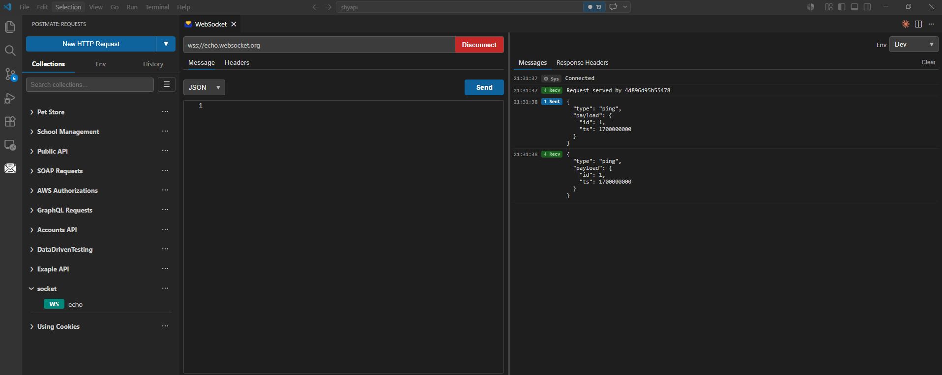 Active WebSocket connection in Postmate Client showing JSON message sent and the server's echo response streamed back in the response panel