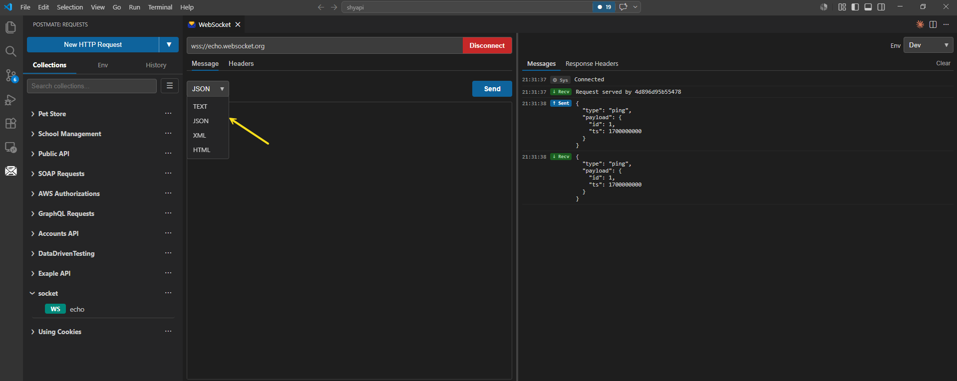 Postmate Client WebSocket message panel with format dropdown showing TEXT, JSON, XML, and HTML options for sending messages